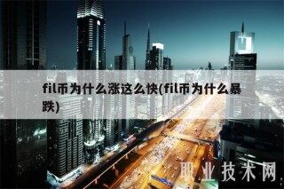 fil币为什么涨这么快(fil币为什么暴跌)