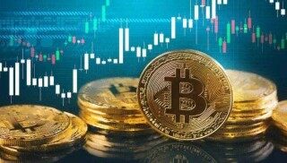 shib币最新消息暴跌(shib币最新消息)