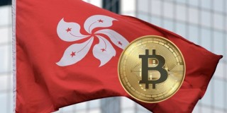 babydoge官方最新消息(babydoge的最新信息)