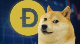 柚子币利好消息不断为什么还跌(柚子币利好消息）