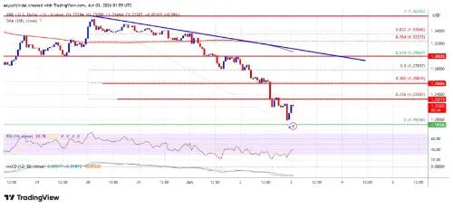 XRP 在看跌压力下走低，关键支撑位为 1.20 美元