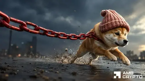 dogwifhat 上涨 16%——但 WIF 获得更多收益的道路上存在巨大阻力