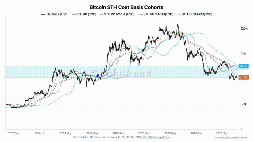 Bitcoin STH Cost Basis Cohorts